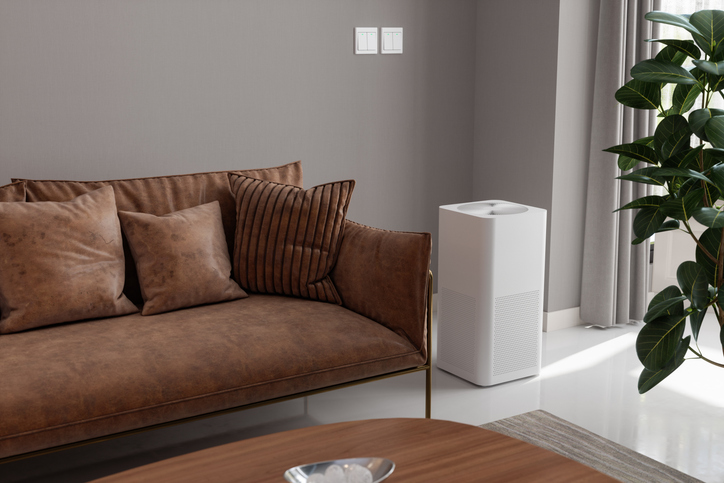 Allergies Acting Up It Might Be Time for Indoor Air Quality Testing