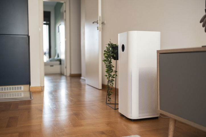 Pet Owners’ Guide to Maintaining Great Indoor Air Quality